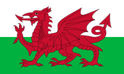 Vlag Wales